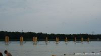 DSC01423.jpg